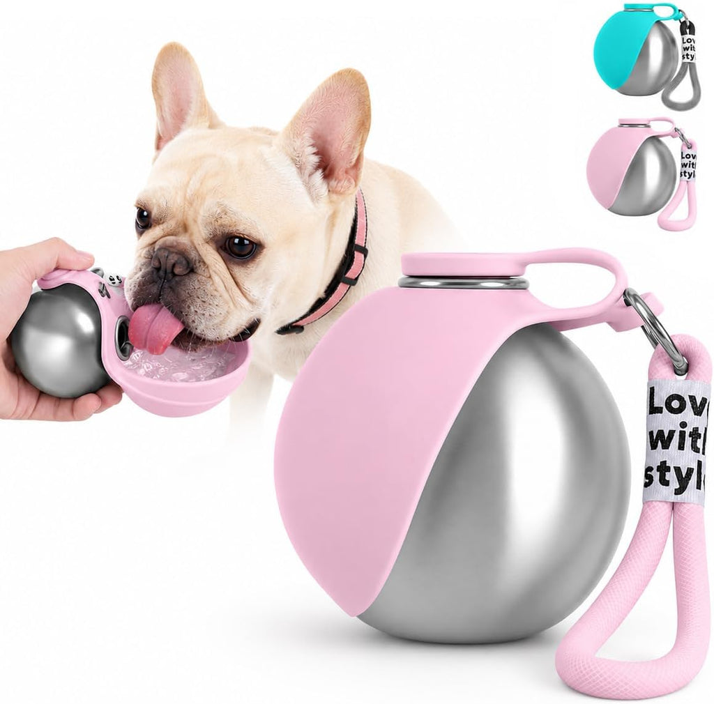 2-in-1 portable stainless steel dog water bottle with foldable silicone bowl and carry rope