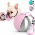 2-in-1 portable stainless steel dog water bottle with foldable silicone bowl and carry rope