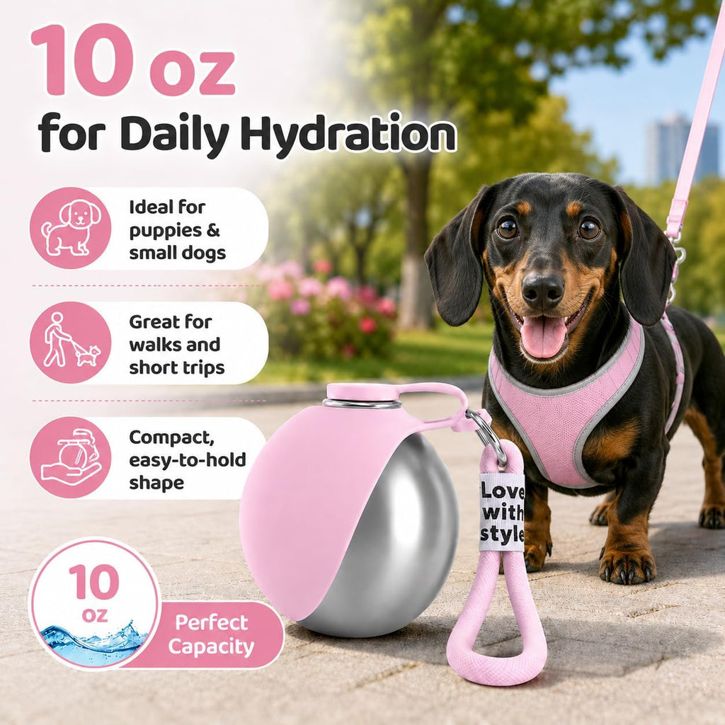 2-in-1 Dog Water Bottle with Foldable Bowl – 10 oz Leak-Proof Travel Bottle