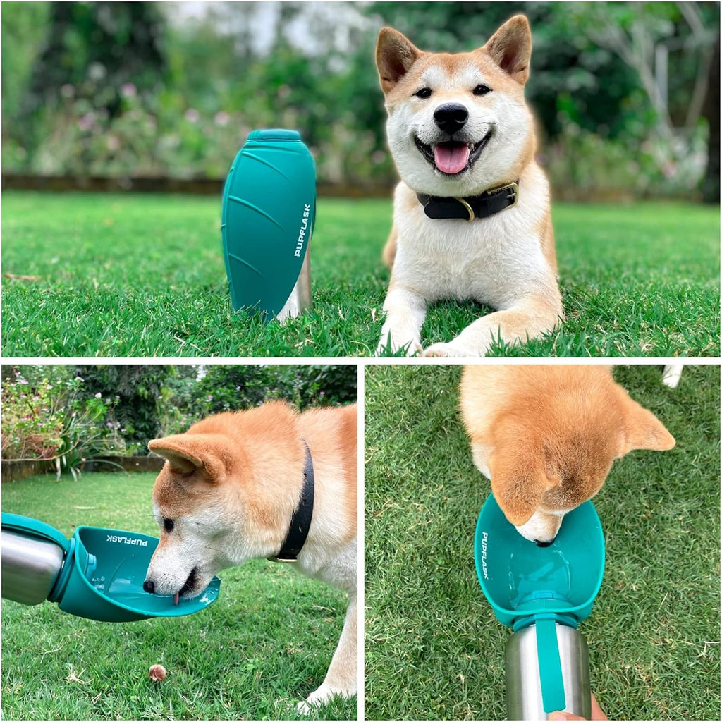 Dog Water Bottle with Bowl – 40 oz Stainless Steel Portable Pet Travel Bottle