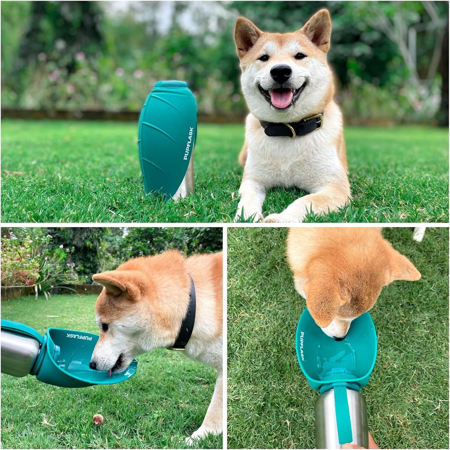 Dog Water Bottle with Bowl – 40 oz Stainless Steel Portable Pet Travel Bottle